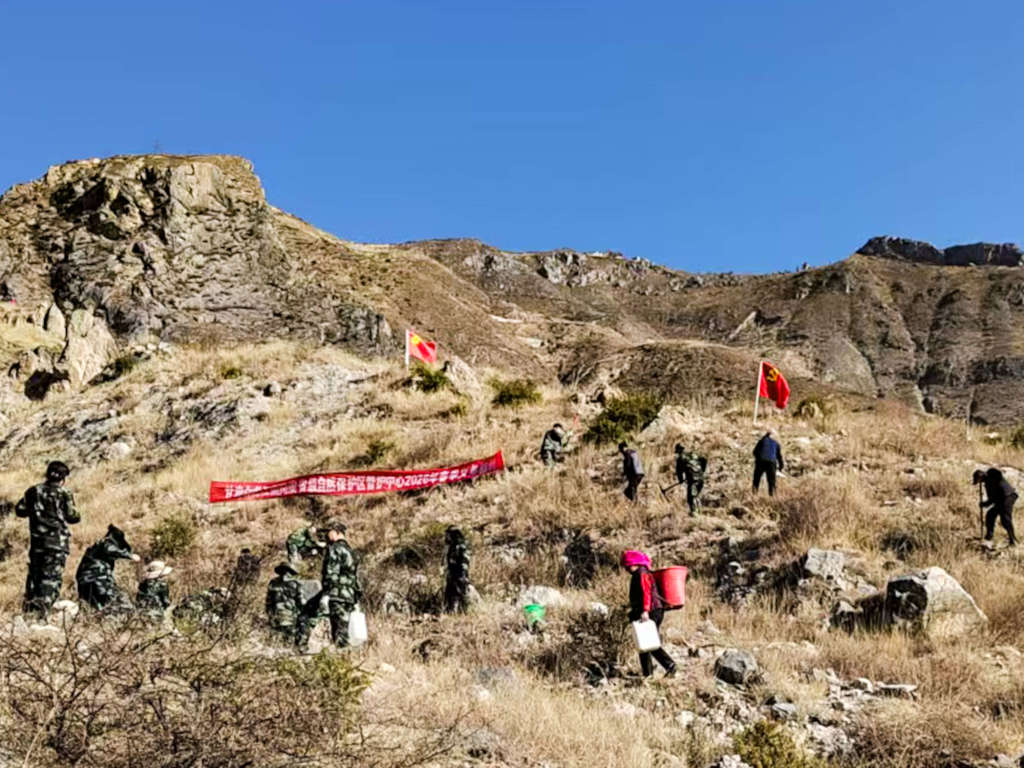 微信图片_20260312153946_106_213_副本.jpg 微信图片_20260312153946_106_213_副本.jpg