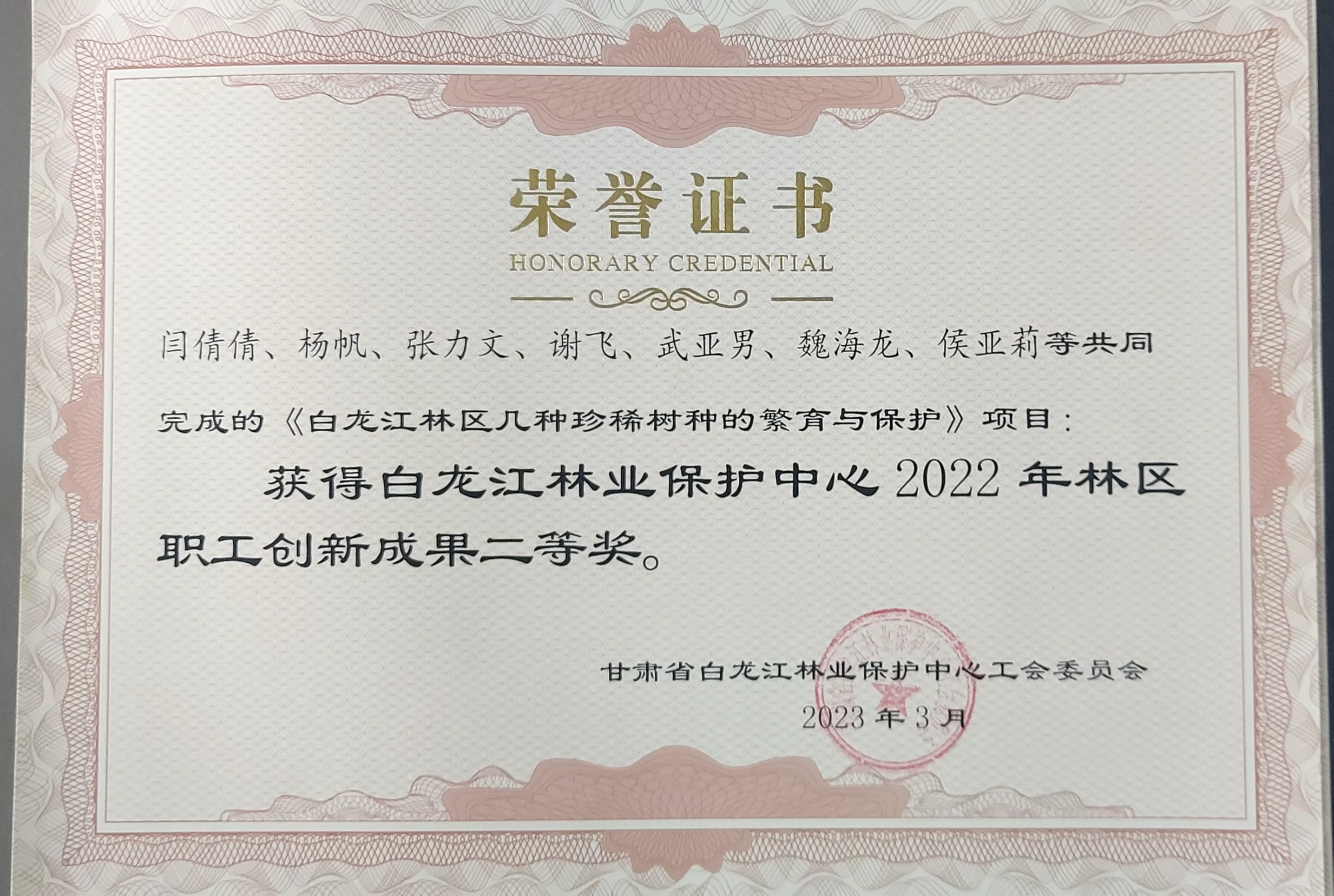 二等奖.jpg