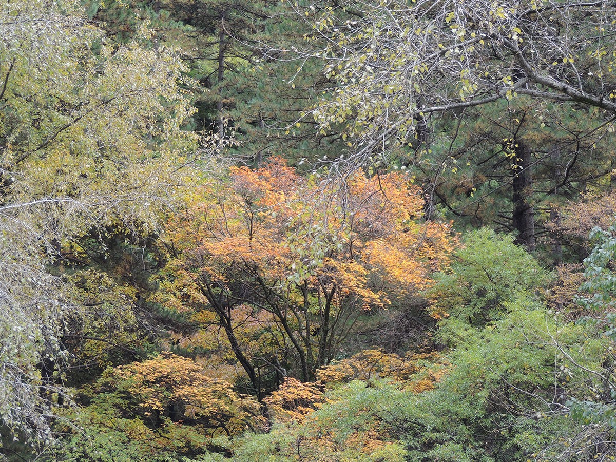 照片 001.jpg