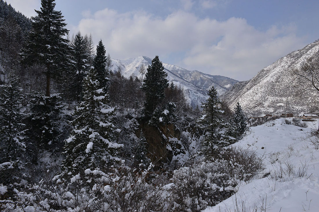 雪景2017，3，12 167.jpg