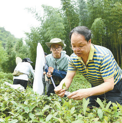 我国将基本建成全世界最大的国家公园体系