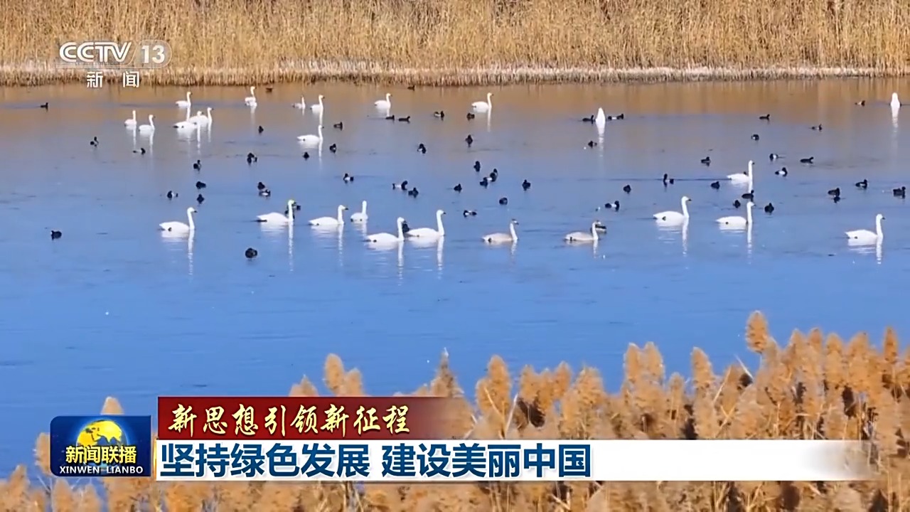 不断厚植高质量发展的绿色底色 美丽中国亮出“绿色”新名片