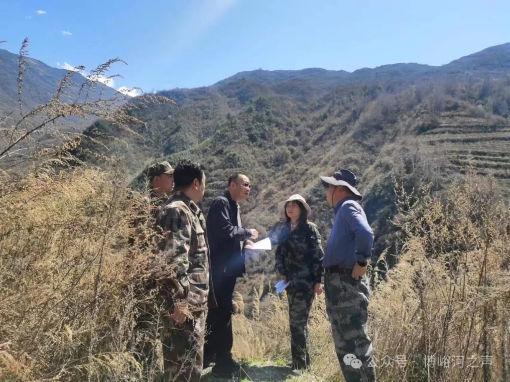 张鹏一行调研管护中心2023年增发国债森林防火应急道路建设项目