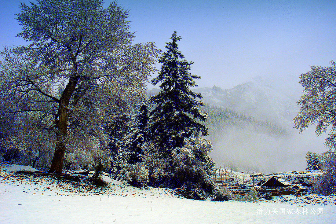 冶力关国家森林公园雪景