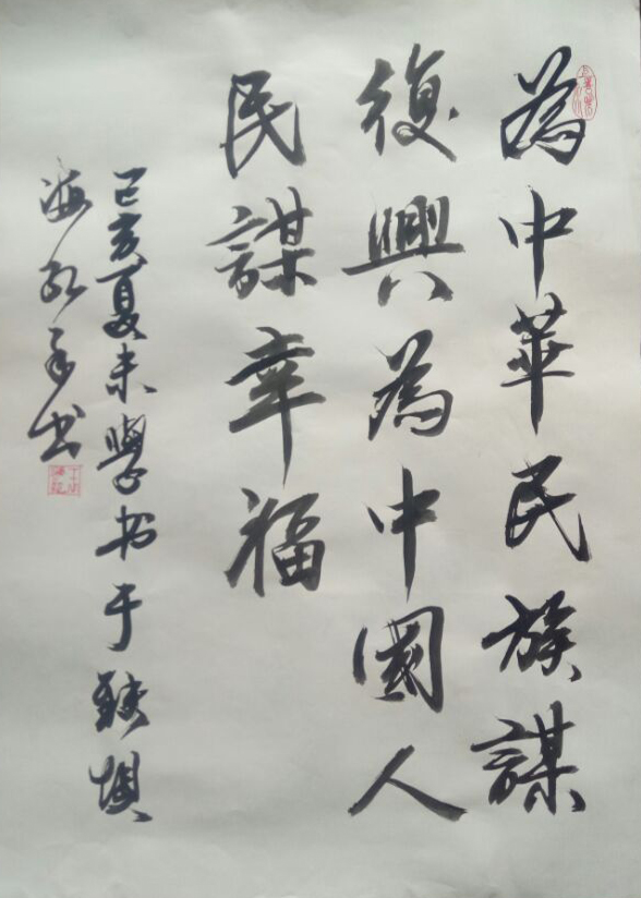 为中华民族谋复兴(作者:王海红)