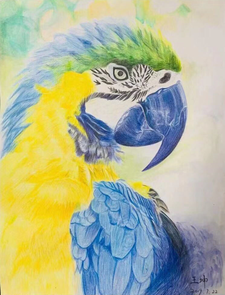 《期待》(作者:王坤)