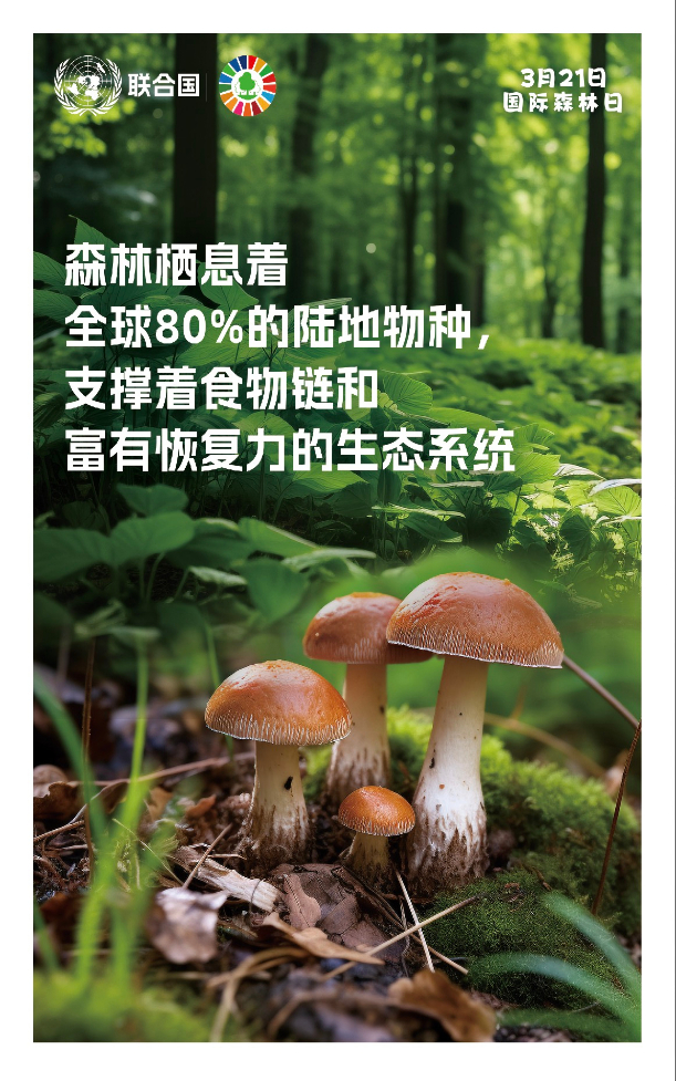 210956162s7j.png