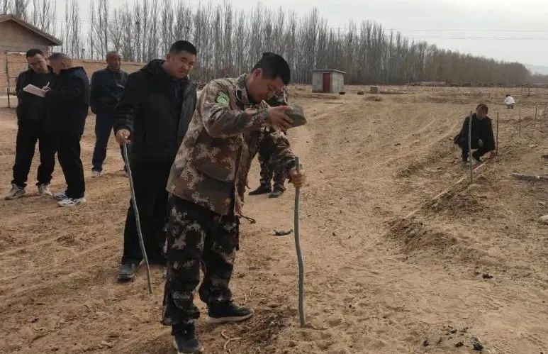图片.jpg
