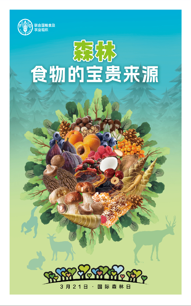 2109561994yu.png