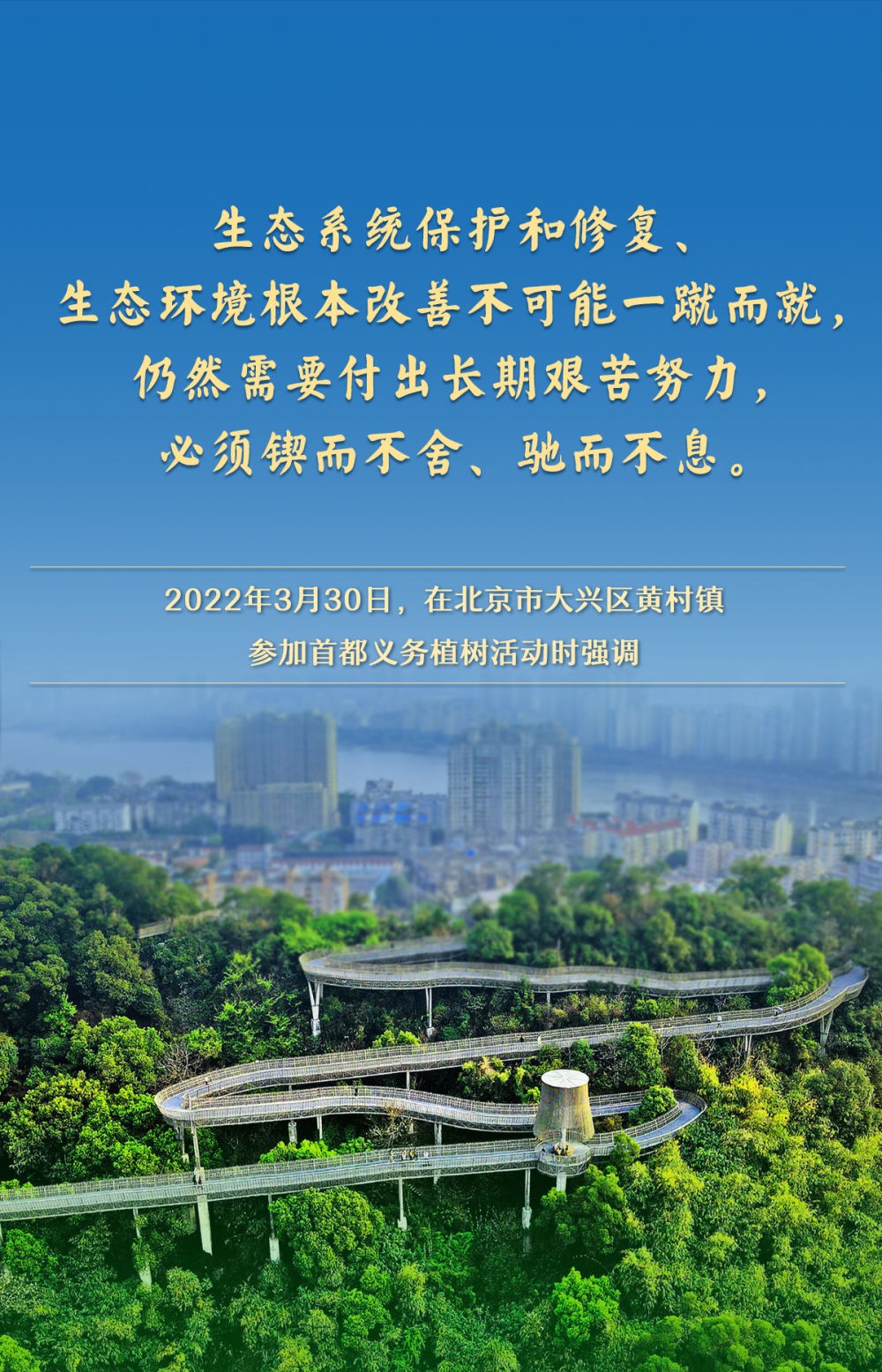 04060144vsh6.jpg