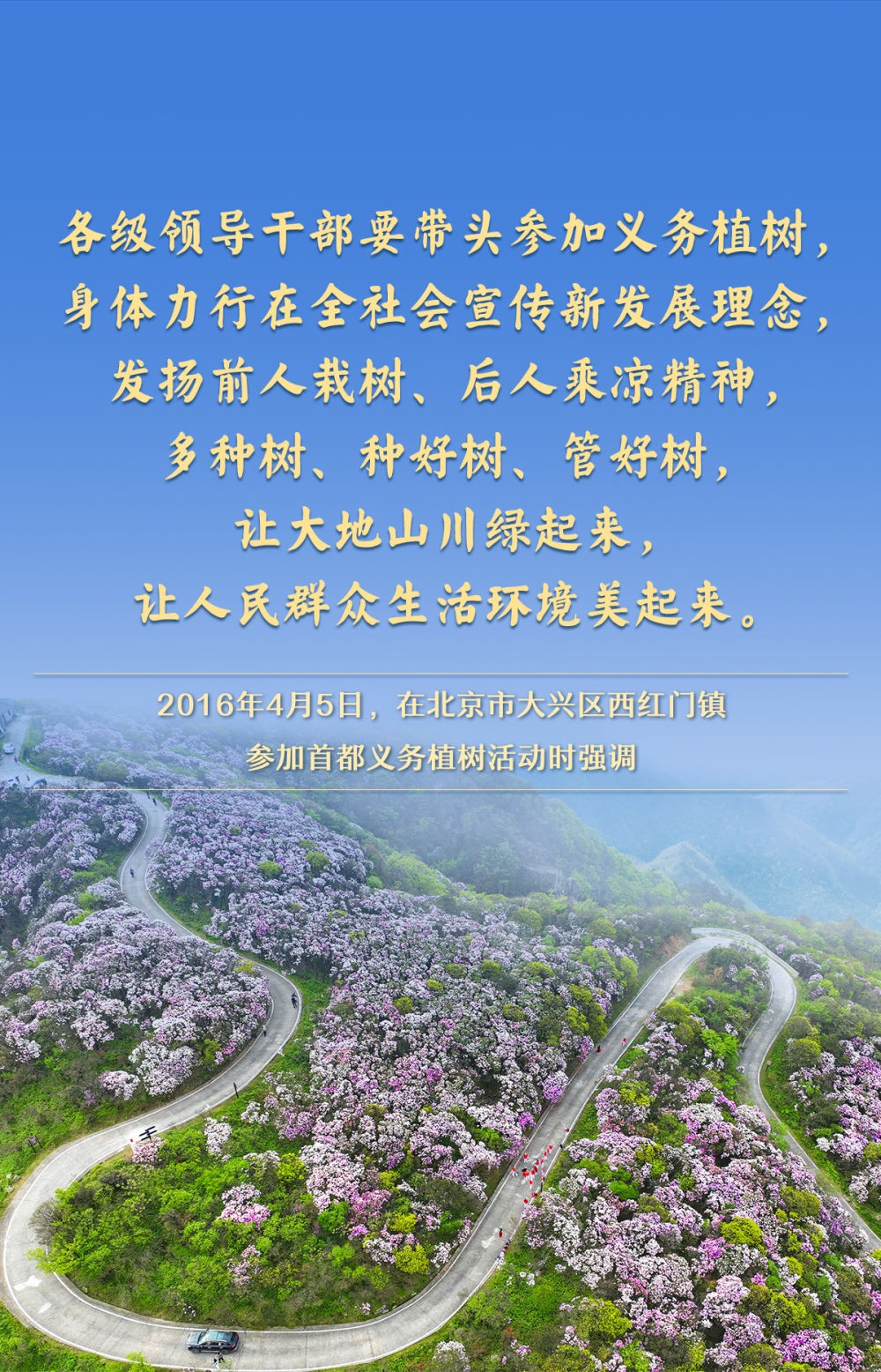 04060217t28c.jpg