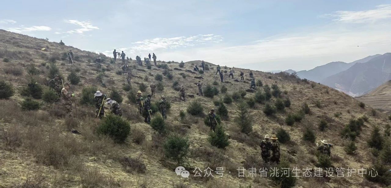 图片.jpg