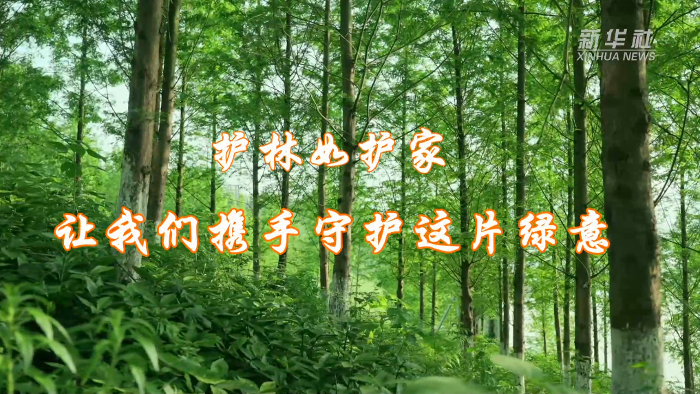 09145046wkyd.png