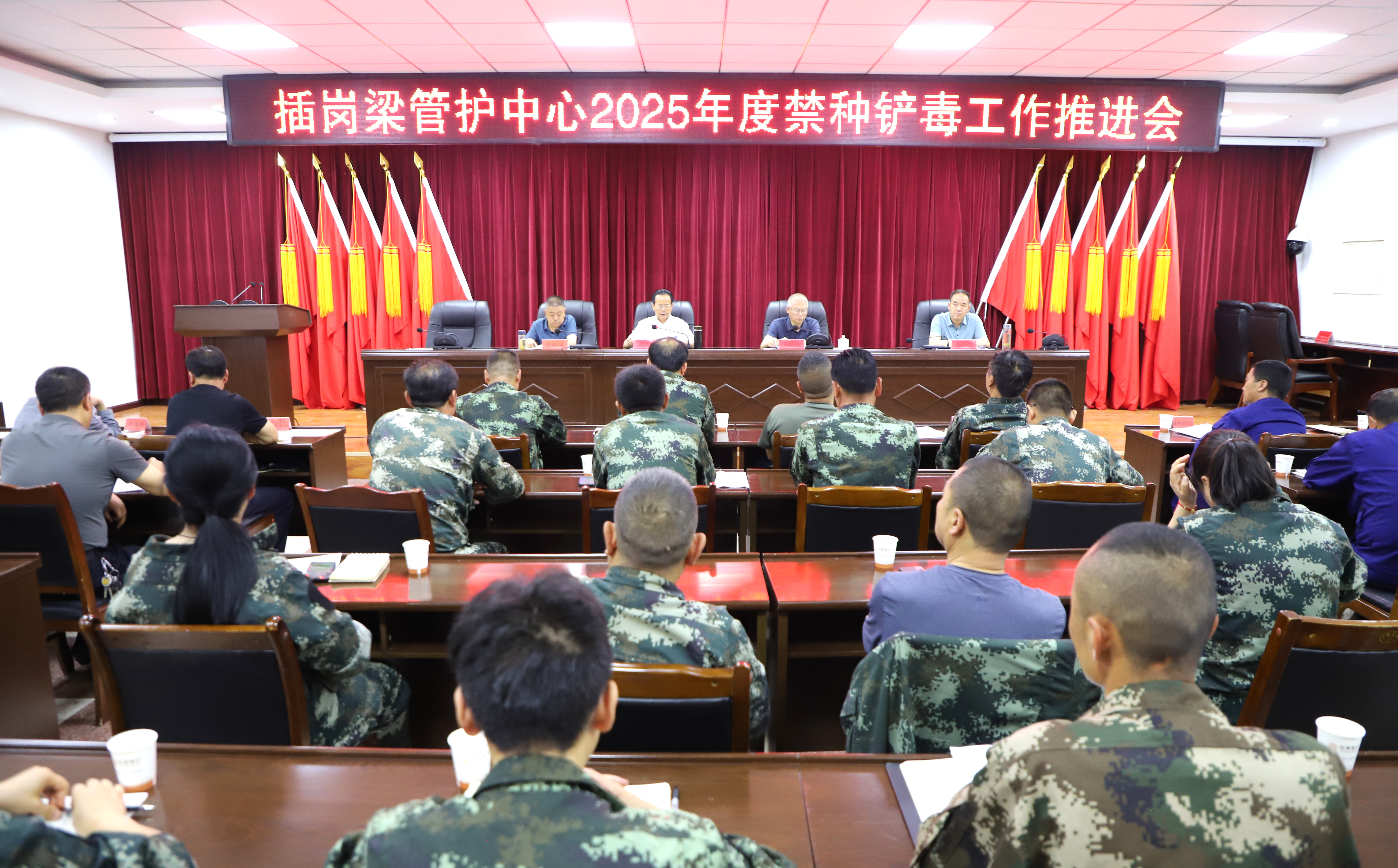 图片.JPG